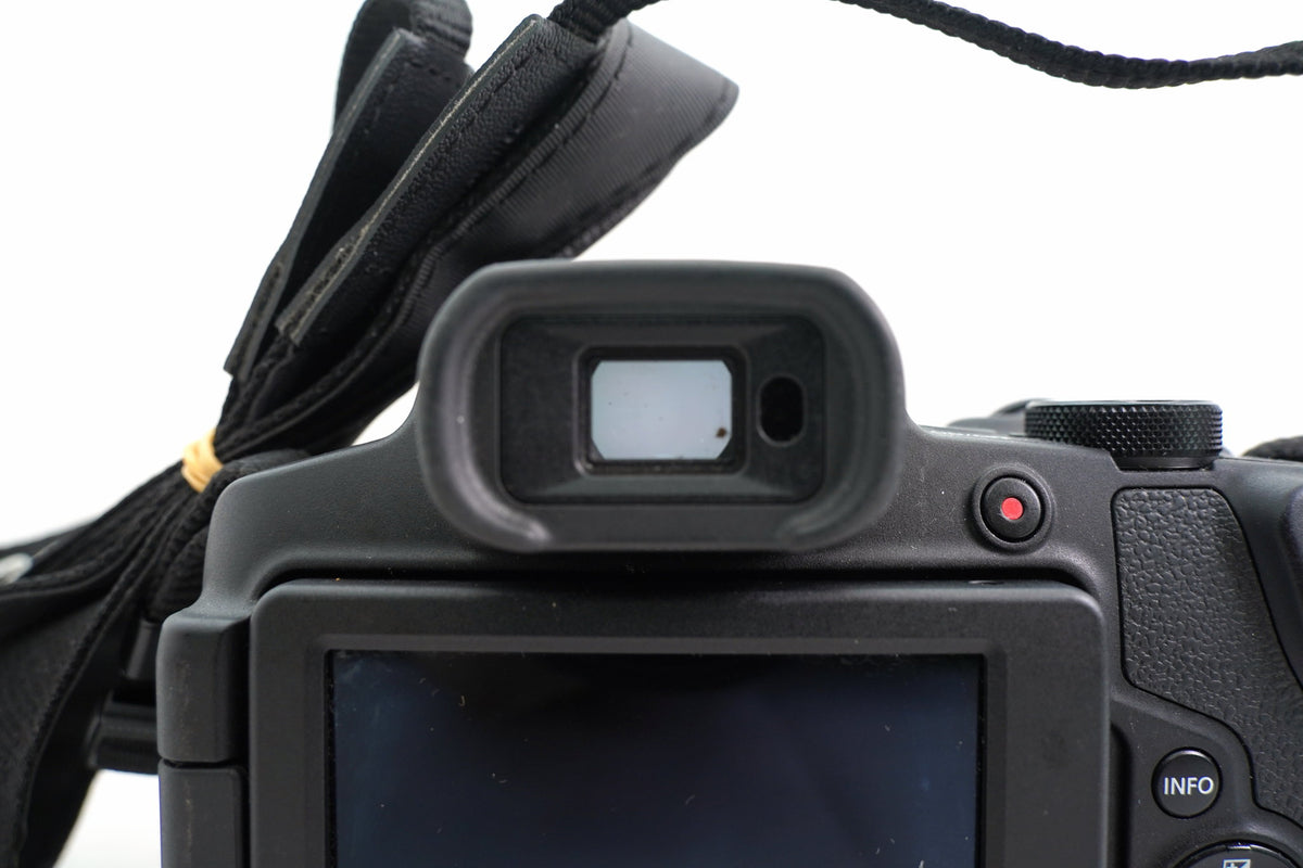 CANON PowerShot SX70 HS #4479